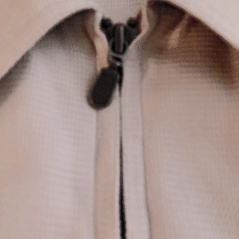 ♥️🇮🇹 TULLIANO 100% silk sports coat imported from Italy ~ Men’s Jacket ~ LBN 🇮🇹 - Picture 11 of 16